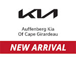 more details - kia carnival